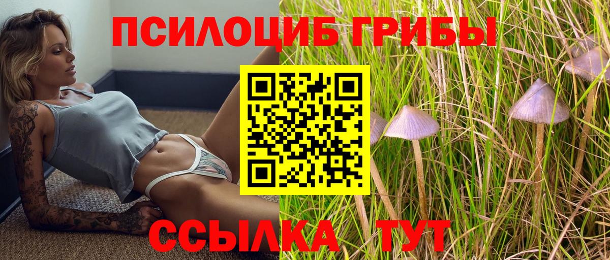 Галлюциногенные грибы GOLDEN TEACHER Тюмень